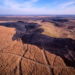 February 2017 (The Wilds)